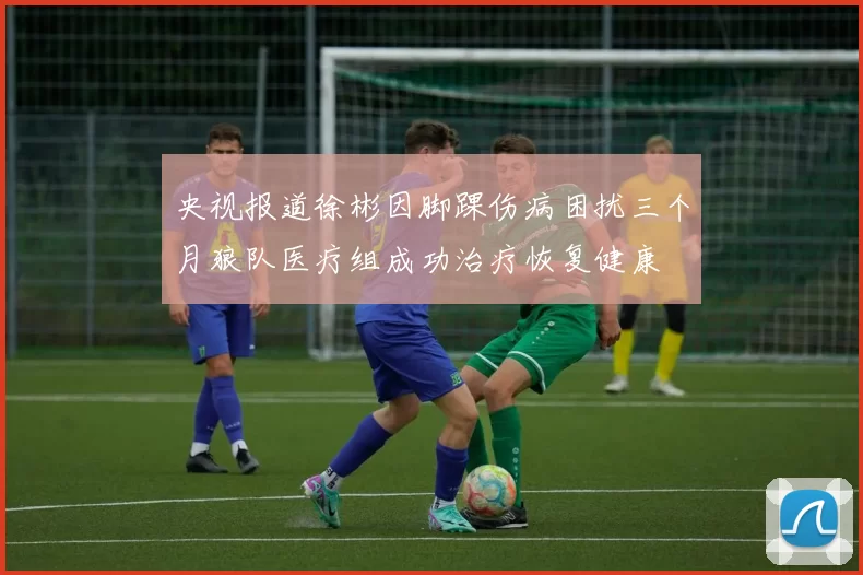 央视报道徐彬因脚踝伤病困扰三个月狼队医疗组成功治疗恢复健康