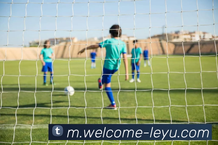 乐鱼体育平台生态图